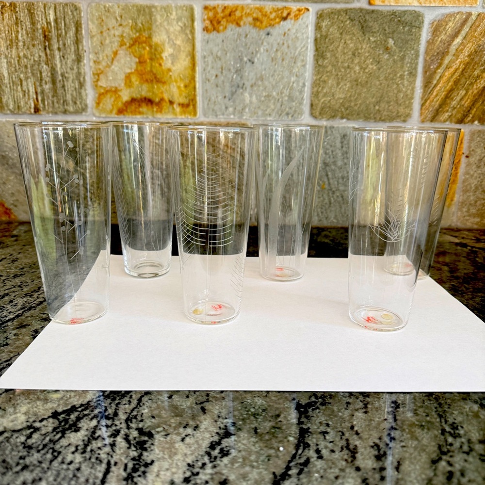 Roost Etched Botanical Large Glasses - SET of 6